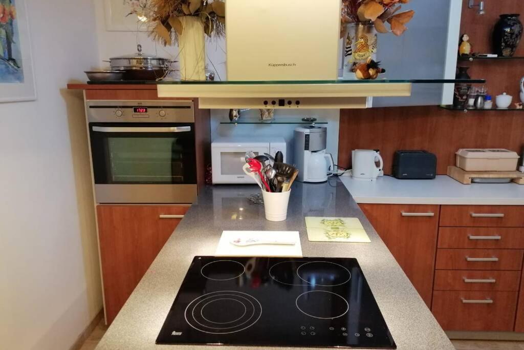 Beste Lage Im Zentrum Und Am Hofgarten 150Qm Mit Klima, 2Xbalkon, Aufzug, Familienfreundlich Bayreuth Luaran gambar